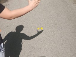 Projektový den na ČRG potřetí